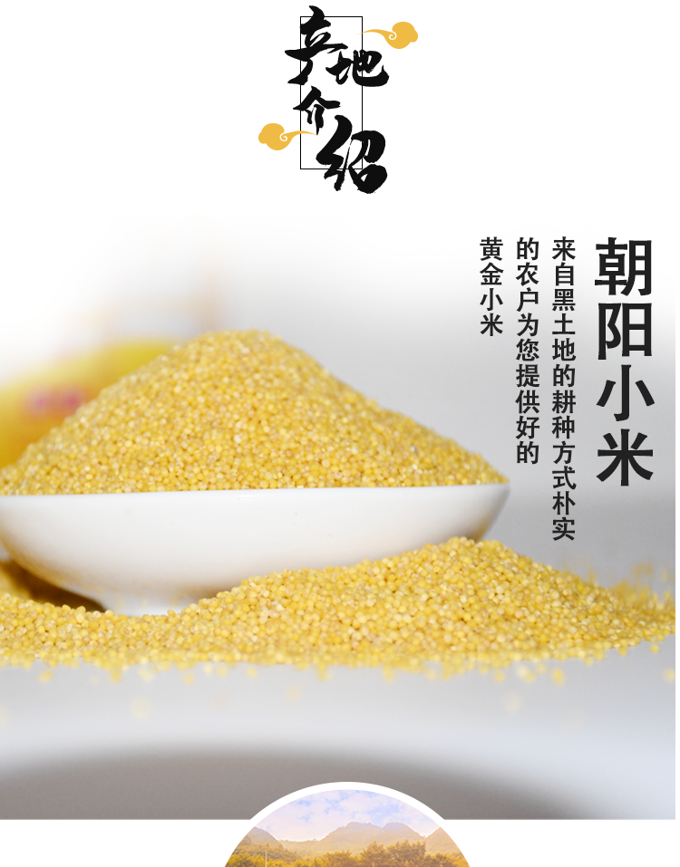 【真空袋装】朝阳小黄米400g*5袋