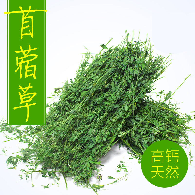 Purple Flower Clover Grass Clover Grass Young Rabbit Grain Fresh Pasture Grass Rabbit Dragon Cat Dutch Pig Grain Feed Food-Taobao