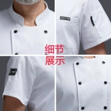 Частые 刑 罴 罴 罴 蟪 蟪 蟪  