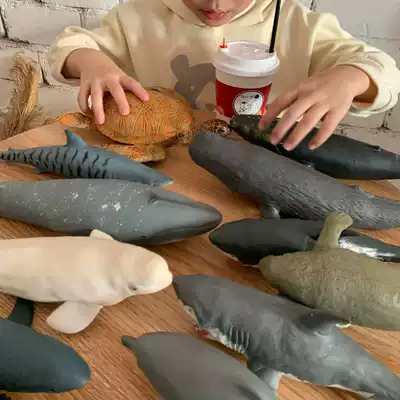 Super large soft glue simulation marine animal model creatures big shark blue whale Penguin sea turtle giant tooth shark enamel toy