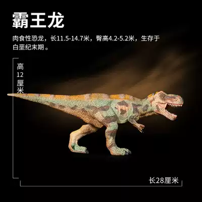 Large dinosaur toy Tyrannosaurus simulation Tyrannosaurus Rex animal model children Boy 3 years old 4 years old boutique ornaments cognition