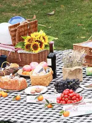 Outdoor picnic mat thickened moisture-proof floor mat Portable foldable picnic cloth Spring and autumn tour park beach lawn mat