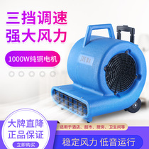 Jieba BF534 hotel floor carpet powerful blow dryer floor blower three-speed adjustable hair dryer hotel mall