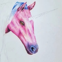 The postage to fill the post of mugs