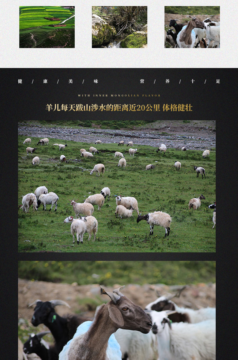 陇优羊 甘肃散养羔羊 完整后腿去骨肉 3斤 精修去油 图9