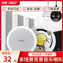 Xianke ceiling speaker ceiling wall hanging audio ball speaker set background music outdoor waterproof sound column