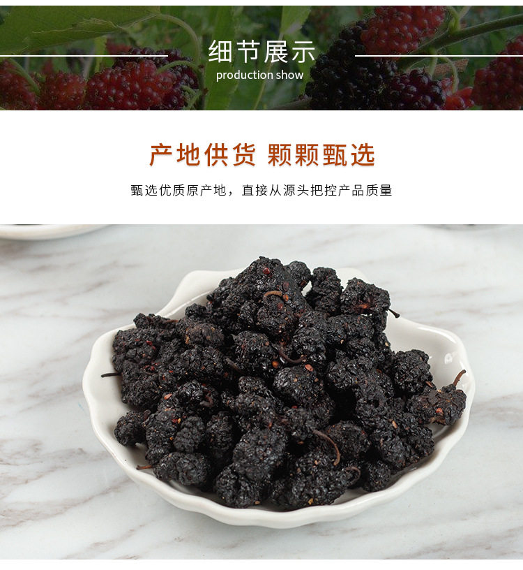Mulberry_05