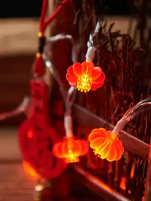 2020 New Year ornament Red Lantern Small Lantern Flashlight Light String of the Year of the Rat Spring Festival New Year Scene Layout Net Red Light