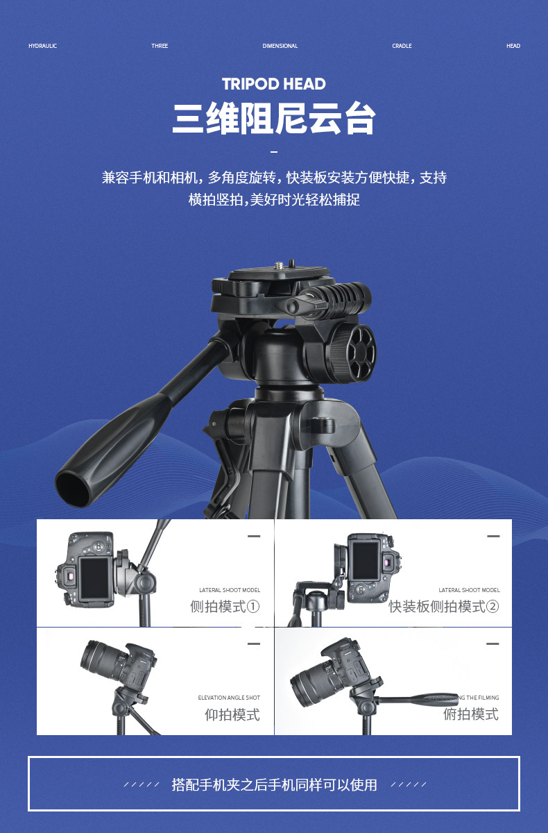 VCT-668-790_03.jpg