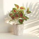 Зеленое симуляция завода стена бегония зеленая растительная стена с травяной стеной с комнатой зеленое украшение балконы телевизионная фоновая стена