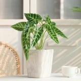 Реалистичное украшение для ногтей, пластиковый цветочный горшок, скандинавский стиль