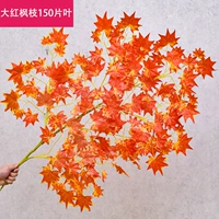 Большой красный кленовый ветвь-1