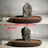 Deep Khaki Color 0113