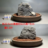 Серебряный 0008