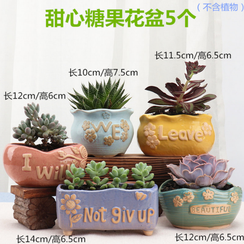 The Bonsai POTS super - large meaty plant pot fresh indoor living room large dried flowers and flowers ceramic