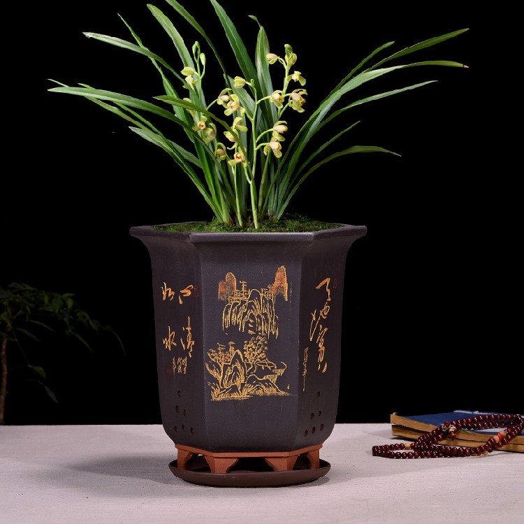 Boutique purple sand flowerpot orchid basin carved by hand draw the six - party clivia bluegrass orchid flower POTS with tray is special