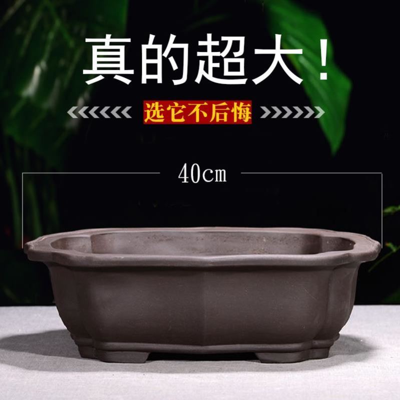 Potted landscape fleshy large - caliber flowerpot classical courtyard balcony haitang grow banyan coarse pottery micro landscape gardening