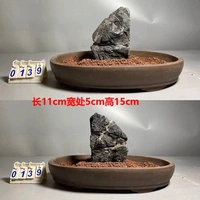 Флуоресцентный зеленый 0139