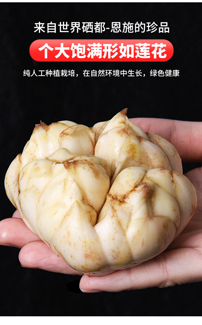 湖北恩施 卷丹百合 1000g 6头 当天现挖 图2