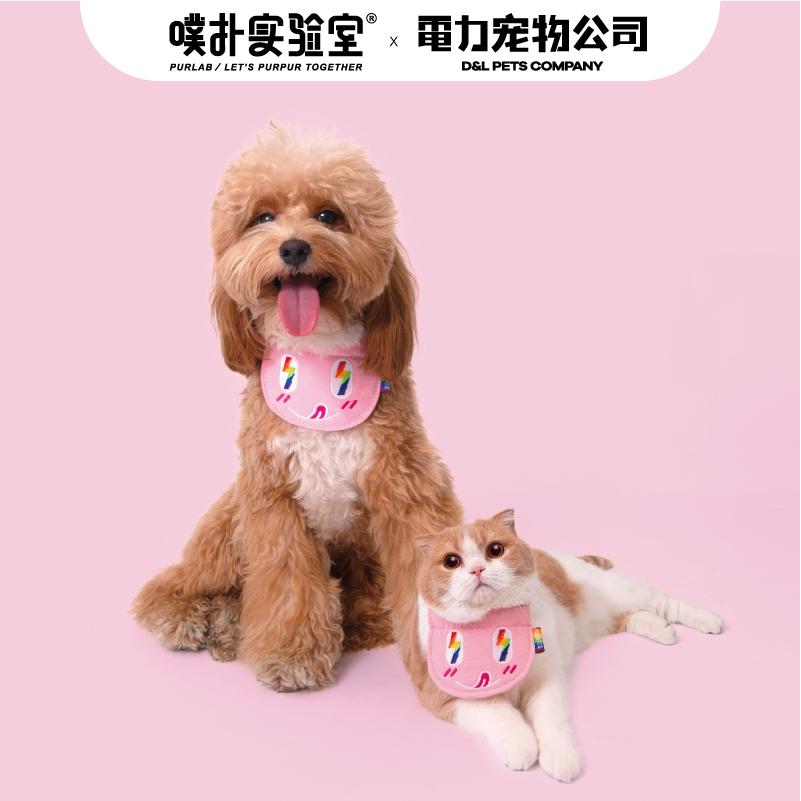 PurLab Puff Bashing Lab Pet Bib Rainbow Lightning Pet Cat Dog Mouth Water Towel X Power Pet Company