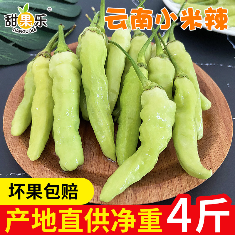 Yunnan Xiaomi chili peppers 4 catty farmers self-breed fresh millet peppers with pretzels and pretzels with pretzels and pretzels