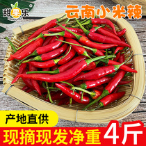 Yunnan millet pepper 4kg farm self-planted fresh millet pepper Pickled Pepper ChaoTianjiao pepper red pepper pepper red pepper