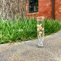 Мисс #White Stars 3CM*12CM❤New!