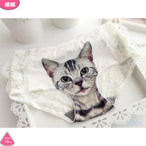 Womens anti-light 3D kitty cat cat head pattern no trace hips underwear sexy mid-waist