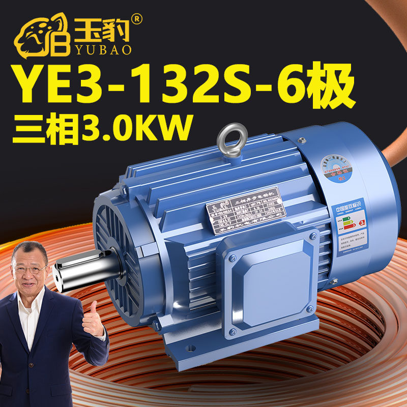 132S-6极全新YE3系列三相异步电动机国标3KW电机380V三相全铜