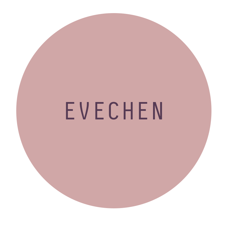 EVECHEN美妆精选的LOGO