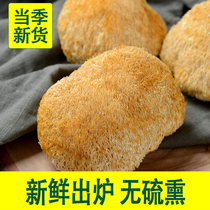 Shanhai Gutian specialized in the season monkey mushroom dry fresh 500g monkey mushroom fungus nourishing hot pot