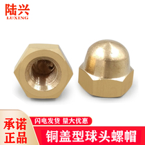 Copper Cover Shaped Nut Round Head Decorative Screw Cap Ball Head Cover Type Screw Cap Rust Nut 3mm4M5M6M8M10M12