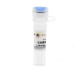 生物素高效标记山羊抗兔IgG(H+L)  A0279  0.5ml 碧云天 beyotime