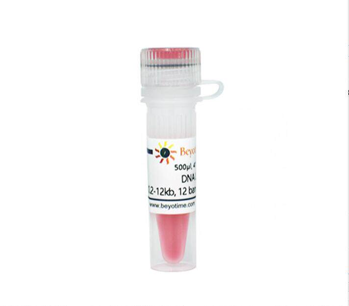 DNA Ladder (0.2-12kb, 12 bands, with BeyoRed) D0111/100次