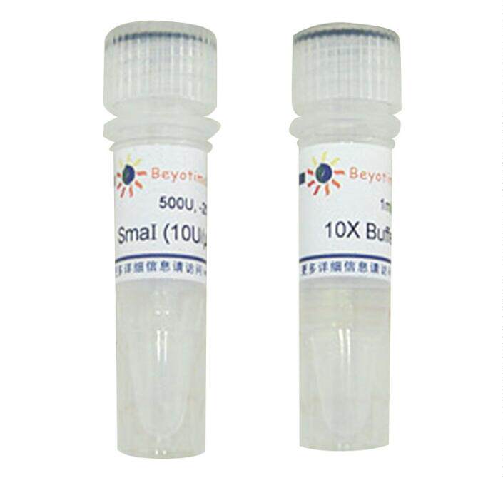 科研专用 经典产品 SmaI内切酶  D6633 500U 碧云天生物 beyotime