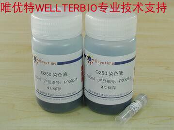 Bradford蛋白浓度测定试剂盒  P0006/1000次 碧云天生物 beyotime
