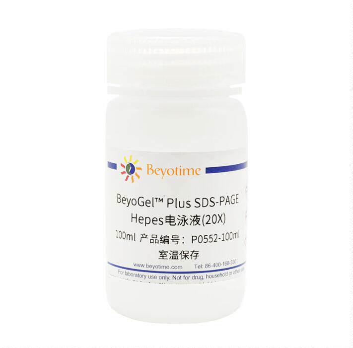 BeyoGel? Plus SDS-PAGE Hepes电泳液(20X)  P0552-100ml/500ml