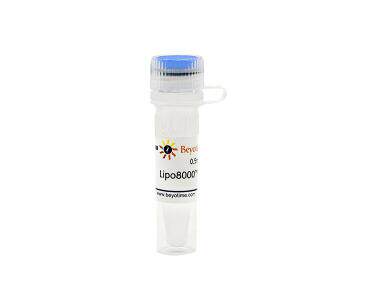 Lipo8000?转染试剂  C0533-0.5ml/1.5ml/7.5ml  碧云天 beyotime