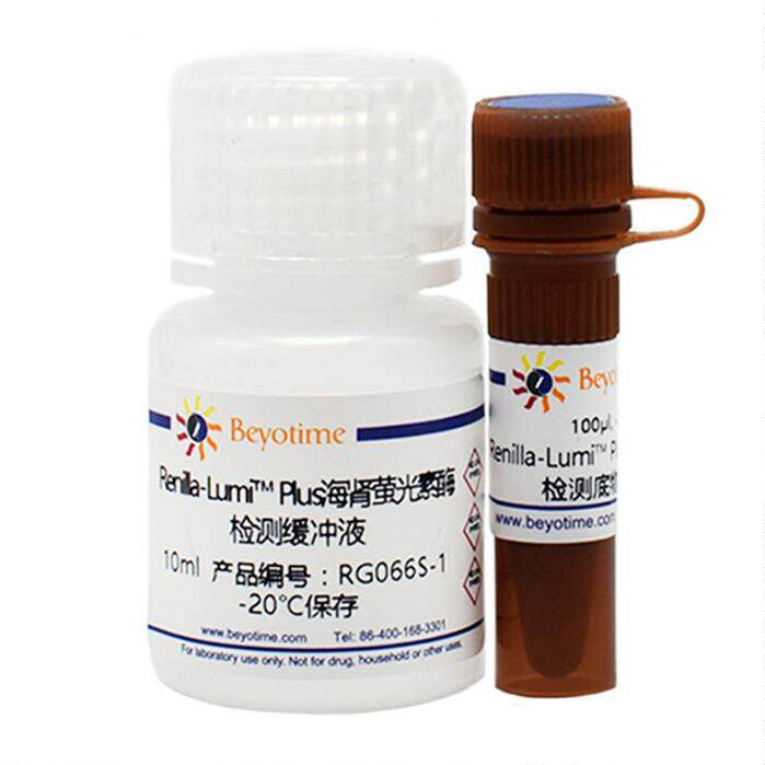 Renilla-Lumi? Plus海肾萤光素酶报告基因测试盒 RG066S/RG066M