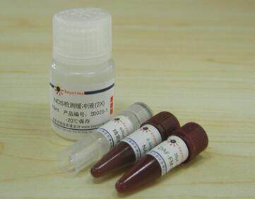 一氧化氮合成酶检测试剂盒(荧光法) S0025 100次 碧云天 beyotime