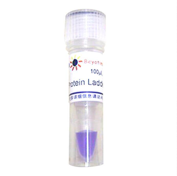 预染蛋白质分子量标准(19-117kD) P0066/200&mu;l P0067/1ml 碧云天