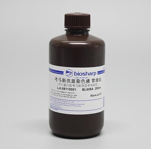 经典科研专用 biosharp BL605A 考马斯亮蓝染色液 常规法 250ml
