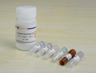科研经典 总谷胱甘肽检测试剂盒S0052 100次 碧云天生物 beyotime