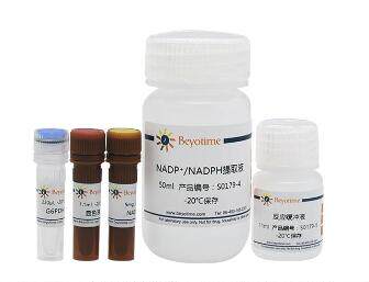NADP+/NADPH检测试剂盒(WST-8法)  S0179  100次 碧云天 beyotime