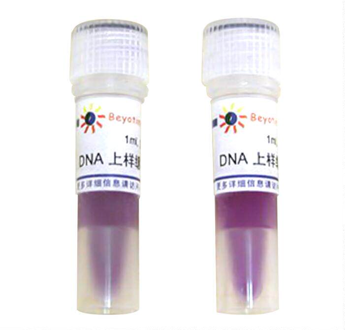 科研专用 DNA上样缓冲液(6X)  D0071 2ml 碧云天生物 beyotime