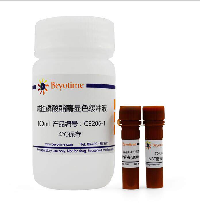 BCIP/NBT碱性磷酸酯酶显色试剂盒 C3206 共100ml 碧云天 beyotime