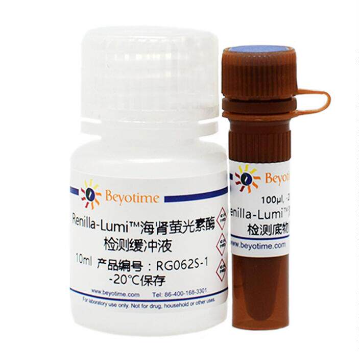 Renilla-Lumi?海肾萤光素酶报告基因检测试剂盒   RG062S/RG062M