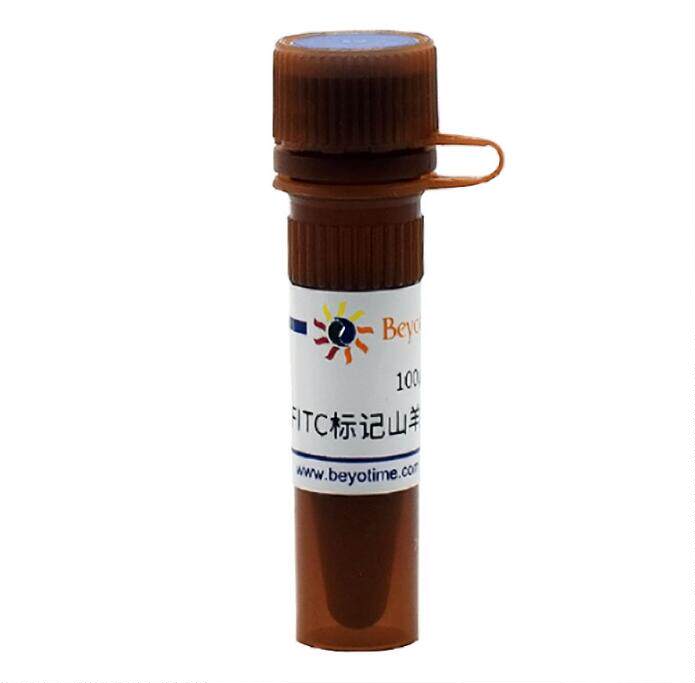 FITC标记山羊抗兔IgG(H+L)  A0562  0.1ml 碧云天生物beyotime