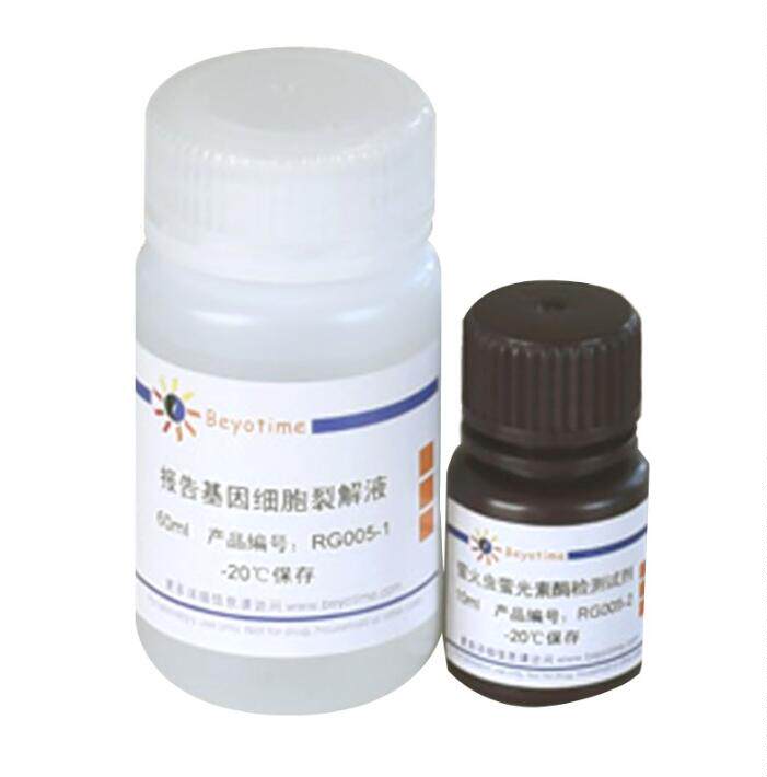 萤火虫萤光素酶报告基因检测试剂盒 RG005/RG006 碧云天 beyotime