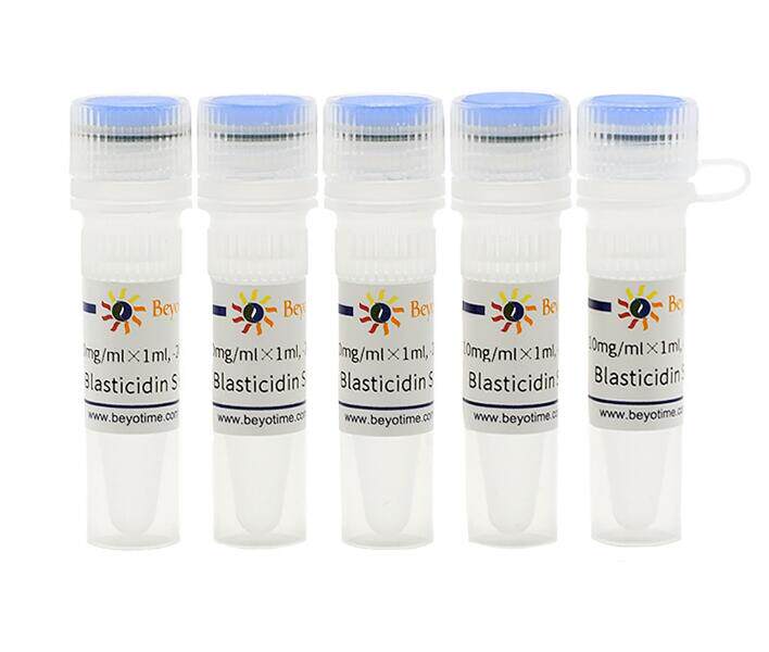 科研专用经典产品Blasticidin S HCl (灭瘟素S) ST018 碧云天生物